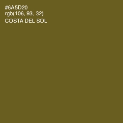 #6A5D20 - Costa Del Sol Color Image